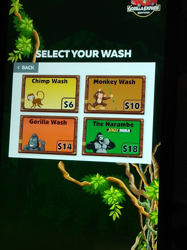 Car Wash «Gorilla Express Auto Wash», reviews and photos, 444 W MacArthur Dr, Cottage Hills, IL 62018, USA