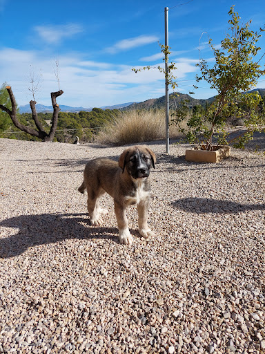 Centro Veterinario Sierra Nevada