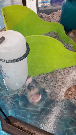 Pet Supply Store «Petco Animal Supplies», reviews and photos, 3371 US-1 #100A, Lawrenceville, NJ 08648, USA