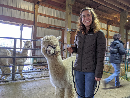 Livestock Breeder «Alpacas at Marquam Hill Ranch», reviews and photos, 35835 OR-213, Molalla, OR 97038, USA