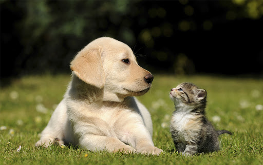 816 Frederick Rd, Catonsville, MD 21228, USA