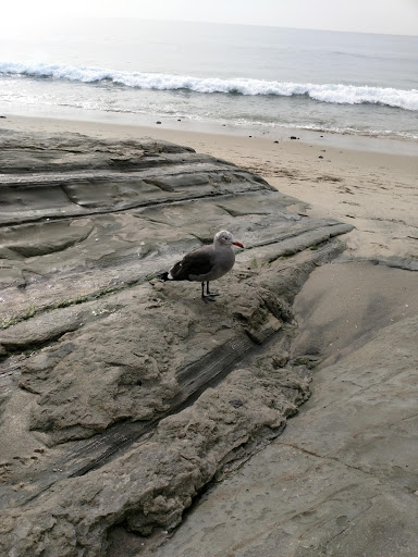 1040 S Coast Hwy, Laguna Beach, CA 92651, USA