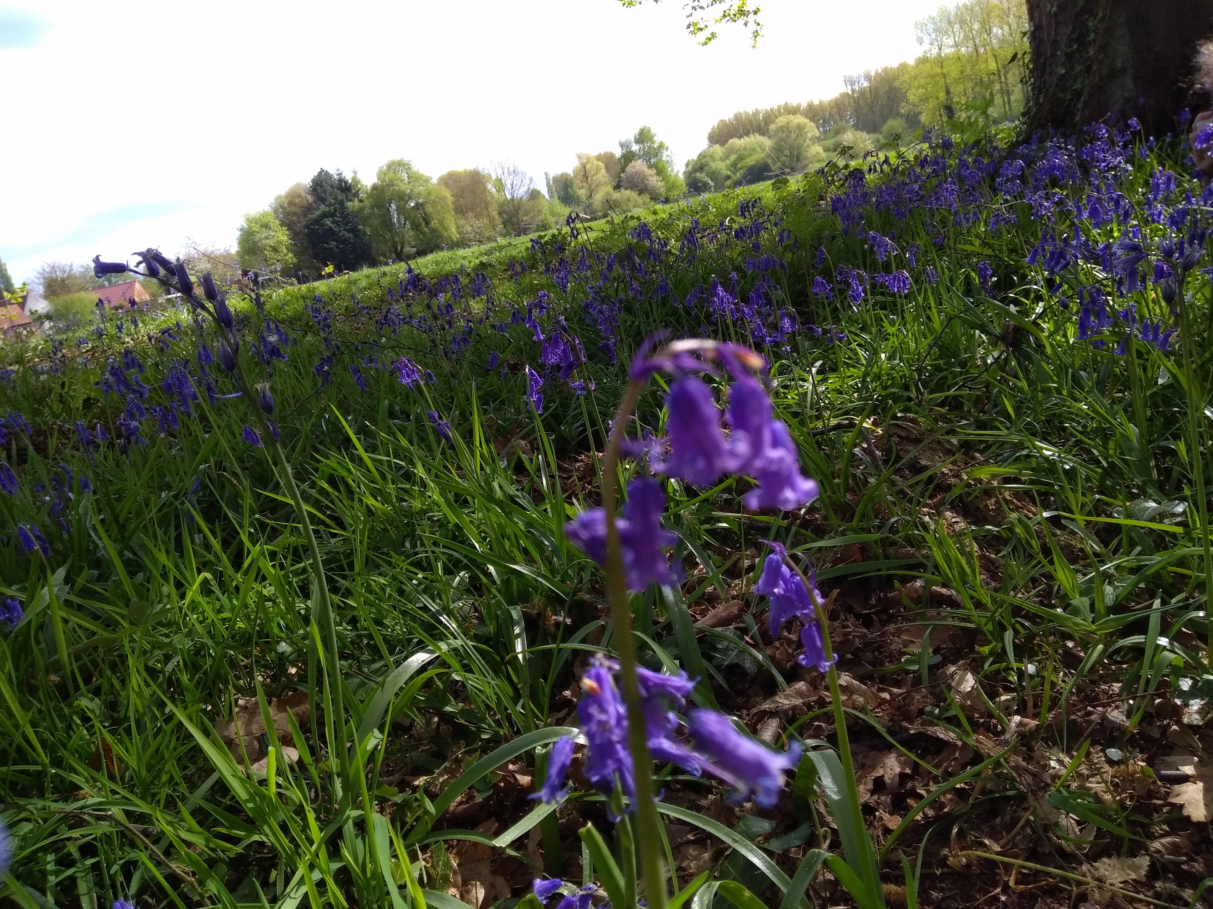 Photo n° 9 de l'avis de Le.� fait le 14/04/2017 à 16:34