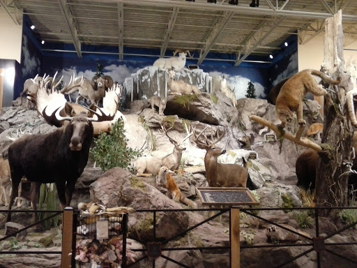 Outdoor Sports Store «Field & Stream», reviews and photos, 2075 Interchange Rd, Erie, PA 16509, USA