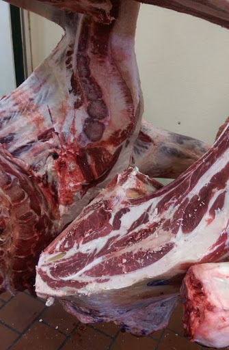 Butcher Shop «Marcacci Meats», reviews and photos, 1159 N Delsea Dr, Vineland, NJ 08360, USA