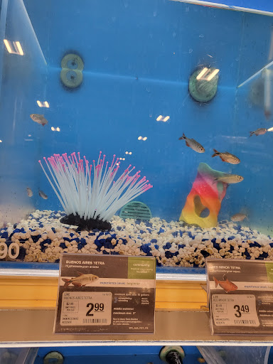 Pet Supply Store «PetSmart», reviews and photos, 1160 Stafford Market Pl, Stafford, VA 22556, USA