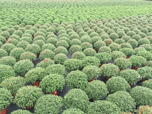 Garden Center «Gro-Rite Garden Center & Florist», reviews and photos, 30 Hillview Rd, Lincoln Park, NJ 07035, USA