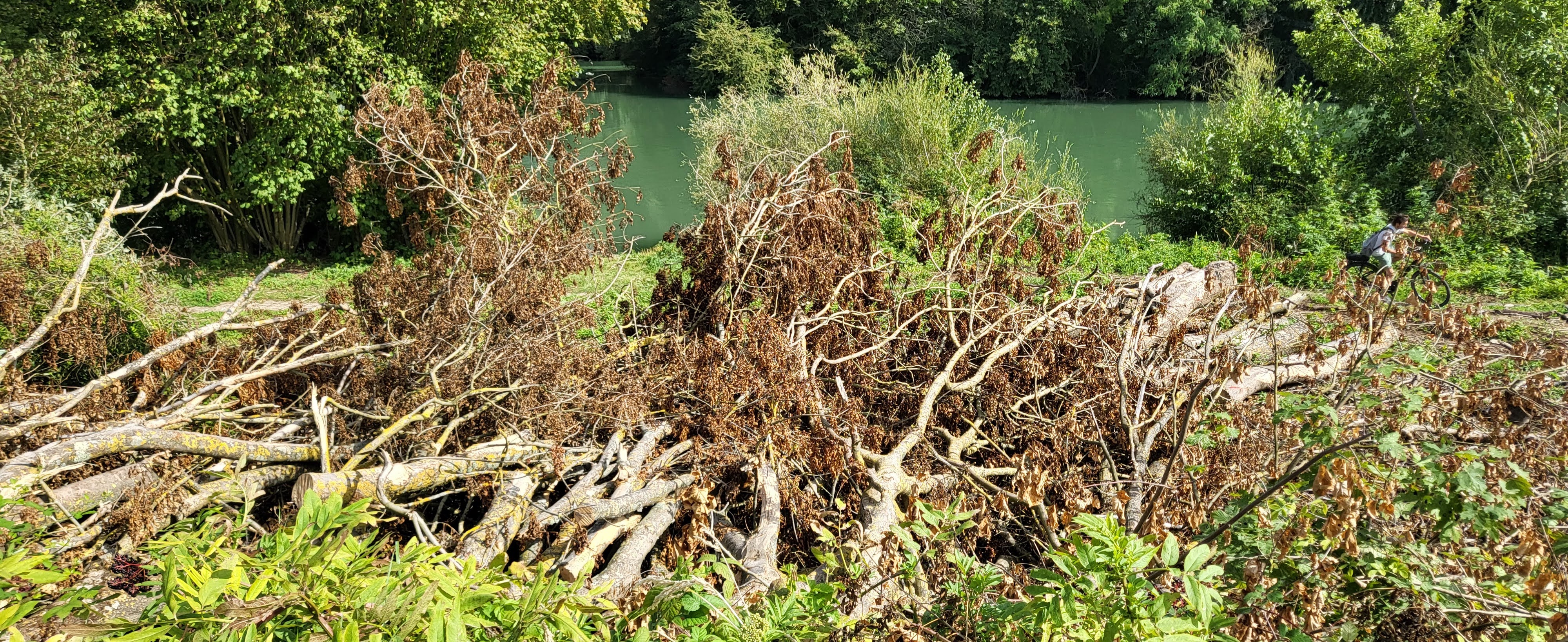 Photo n° 4 de l'avis de R. fait le 28/08/2023 à 09:54