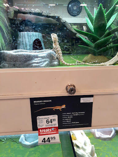 Pet Supply Store «PetSmart», reviews and photos, 4654 Milestone Ln, Castle Rock, CO 80104, USA