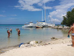 Mahogany Beach'in fotoğrafı küçük koy ile birlikte