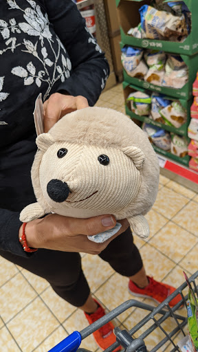 Supermarket «ALDI», reviews and photos, 11330 Pines Blvd, Pembroke Pines, FL 33026, USA