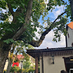 Photo n°3 de l'avis de Julia.c fait le 26/12/2017 à 11:45 sur le  Zeughaus - Restaurant & Biergarten à Aschaffenburg