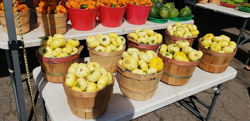 Shopping Mall «Uni-Dale Mall», reviews and photos, 608 University Ave W, St Paul, MN 55103, USA