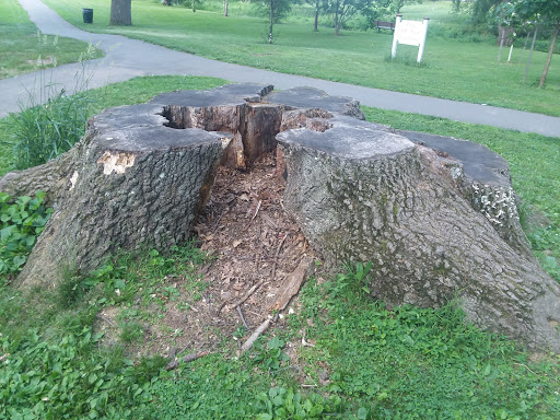 Park «Nichols Park», reviews and photos, 898 Bloomfield Ave, Nutley, NJ 07110, USA