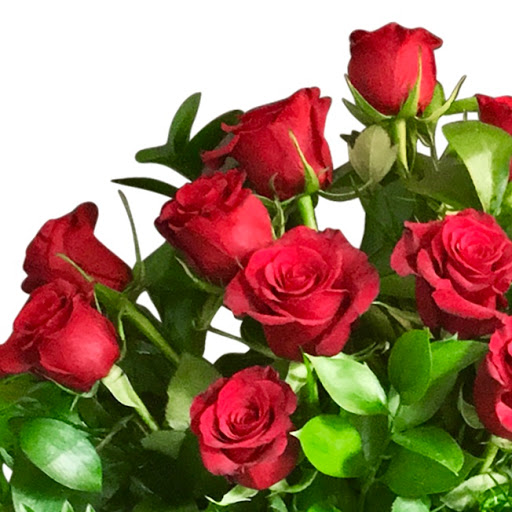 Florist «Green Fresh Florals», reviews and photos, 3785 Fourth Ave, San Diego, CA 92103, USA