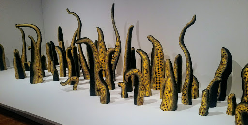 Art Gallery «SAM Gallery», reviews and photos, 1300 1st Ave, Seattle, WA 98101, USA