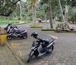 Taman Mumbul Sangeh photo