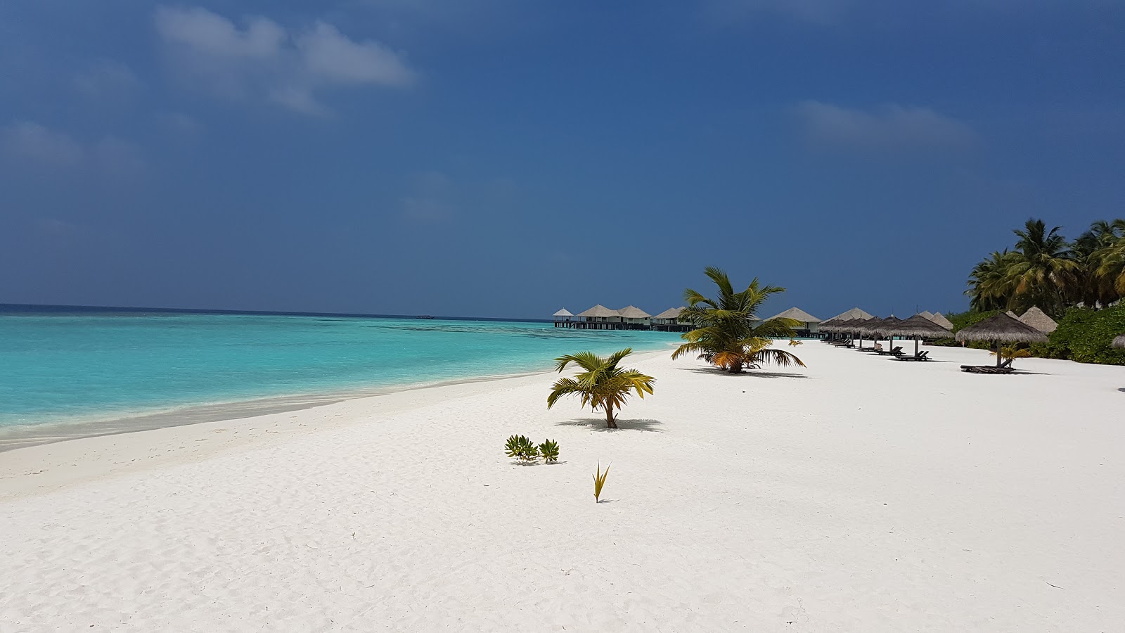 Foto de Playa de la Isla Kihaadhuffaru con arena fina blanca superficie