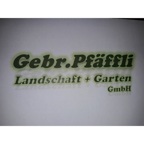 Kommentare und Rezensionen über Gebr. Pfäffli Landschaft + Garten GmbH