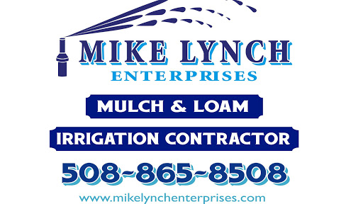 Mike Lynch Enterprises