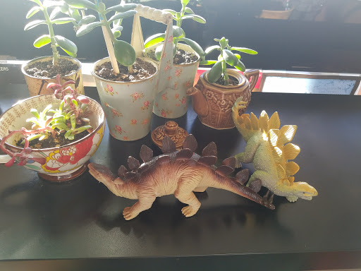 Vegan Restaurant «Nectar Cafe», reviews and photos, 1925 NE 42nd Ave, Portland, OR 97213, USA