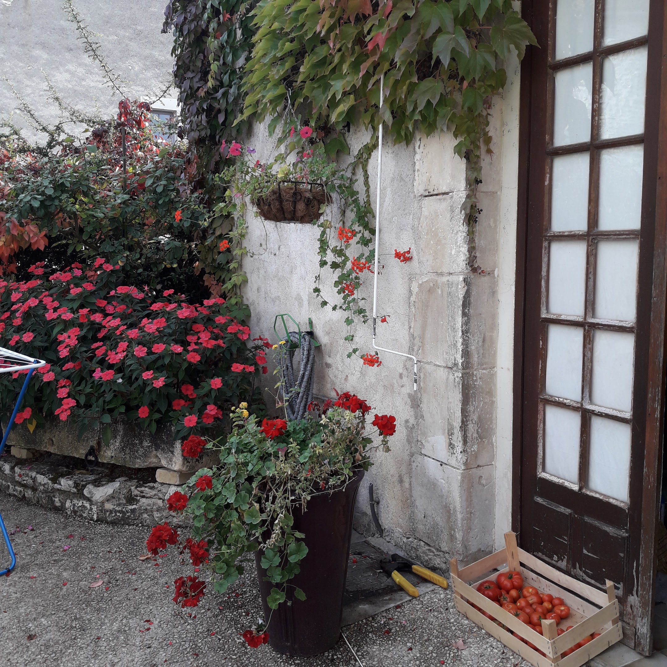 Photo n° 5 de l'avis de Julien.e fait le 03/02/2018 à 19:37