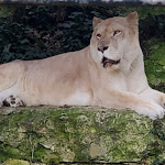 Photo n° 1 de l'avis de laurent. fait le 28/02/2022 à 16:54 pour ZooParc de Beauval Entrée Nord à Saint-Aignan