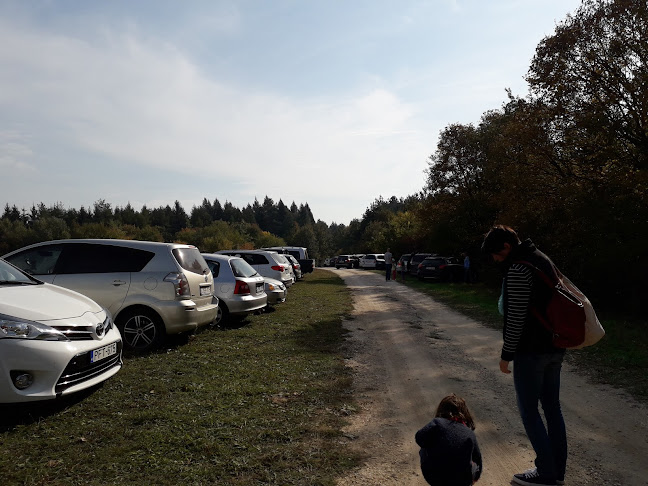 Budakeszi, Unnamed Road, 2092 Magyarország