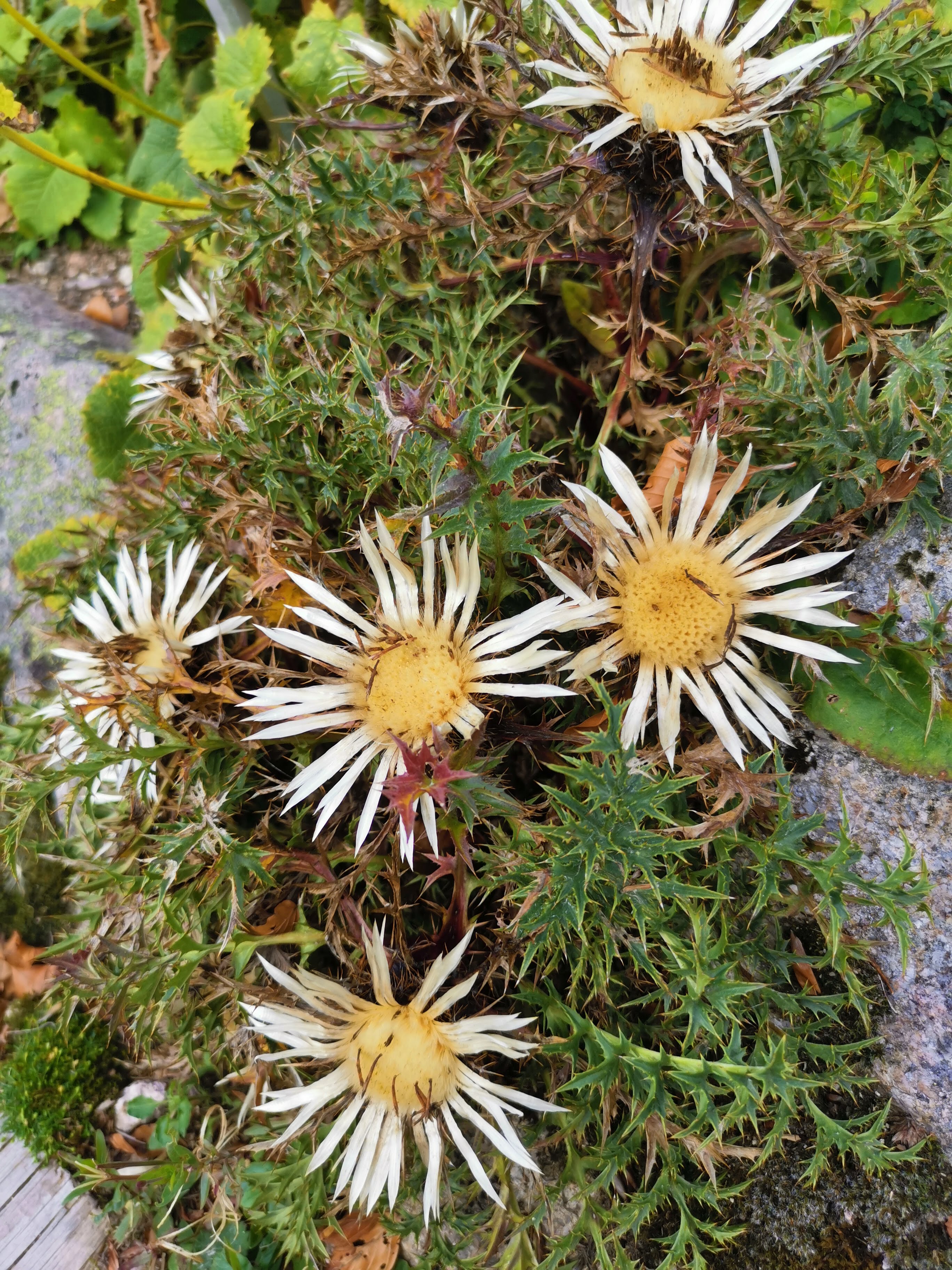 Photo n° 3 de l'avis de Marie.e fait le 03/10/2023 à 06:05