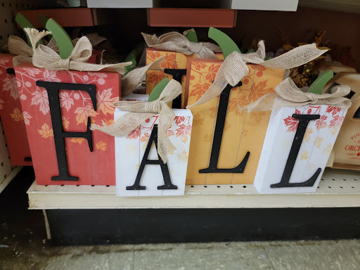 Discount Store «Big Lots», reviews and photos, 924 N Main St, Suffolk, VA 23434, USA