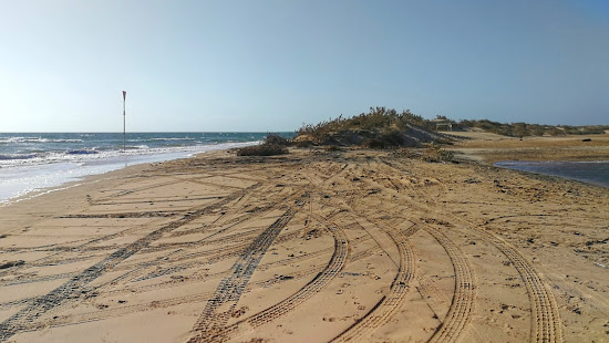 Pelican Point Beach