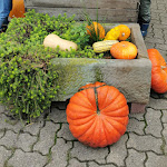 Photo n°9 de l'avis de Biene252006. fait le 09/10/2022 à 13:38 sur le  Eggelmanns Hofcafe à Obernkirchen