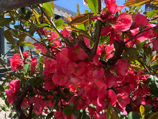 History Museum «Boott Cotton Mills Museum», reviews and photos, 115 John St, Lowell, MA 01852, USA