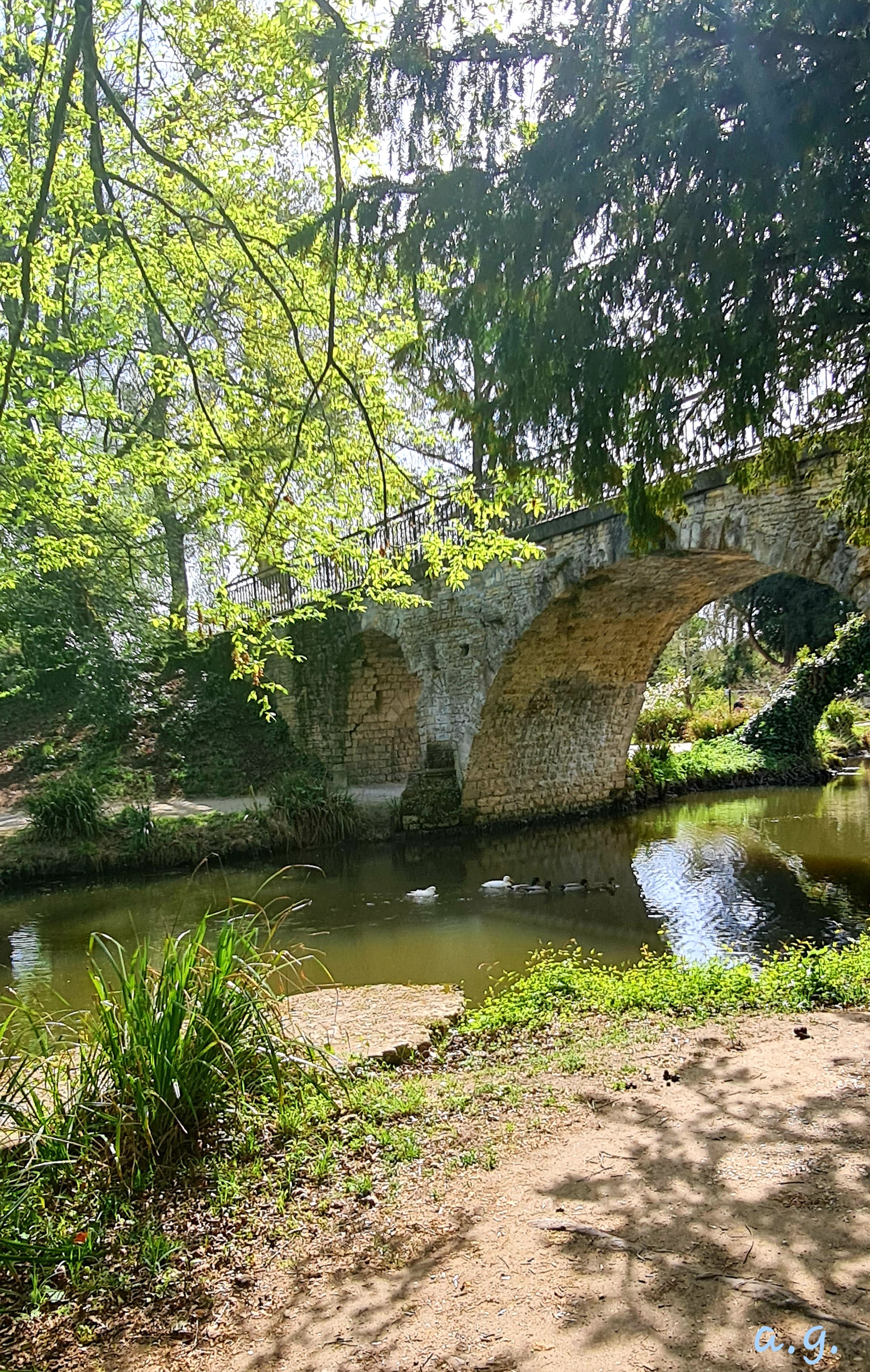 Photo n° 8 de l'avis de Annie.a fait le 18/04/2021 à 12:44