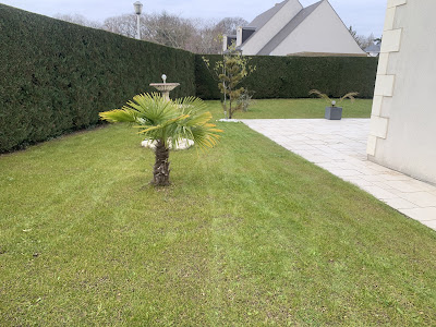 Jardin Bleu à Tours