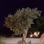 Photo n°4 de l'avis de Danilo.a fait le 17/08/2019 à 13:59 sur le  Masseria Bellimento à Sant'Isidoro