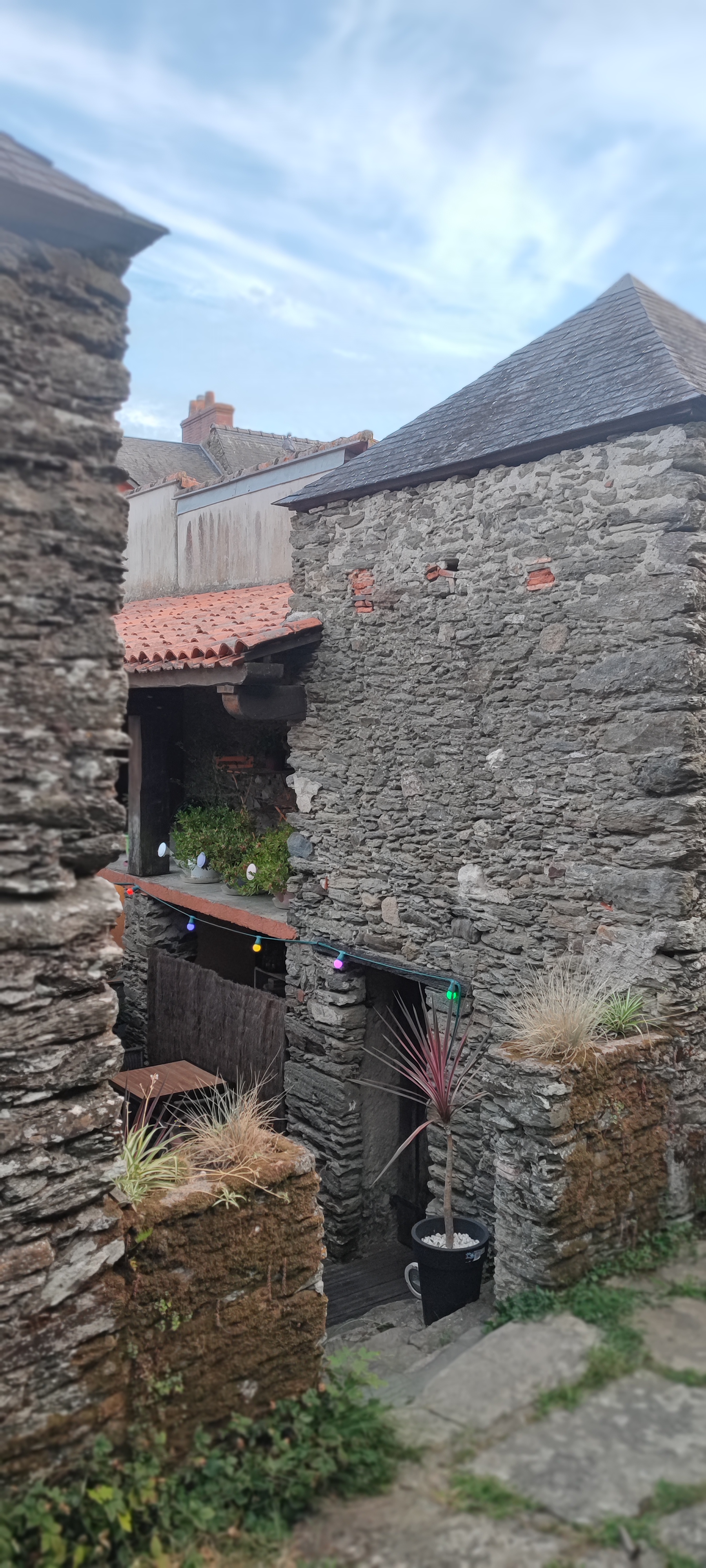 Photo n° 6 de l'avis de Armel.u fait le 28/07/2022 à 19:35