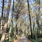 Photo n°1 de l'avis de Maurizio.a fait le 01/10/2023 à 20:49 sur le  Hotel Columbia - Marina Romea à Marina Romea