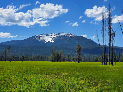 National Forest «Umpqua National Forest», reviews and photos, 1121 Houser Ct, Idleyld Park, OR 97447, USA
