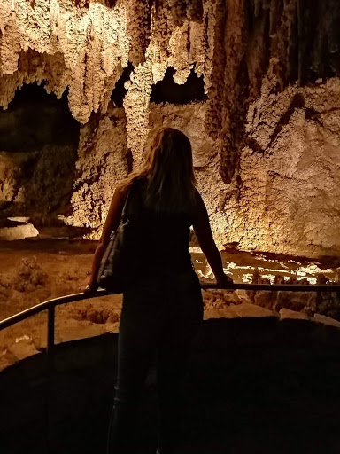 Tourist Information Center «Carlsbad Caverns National Park Headquarters», reviews and photos