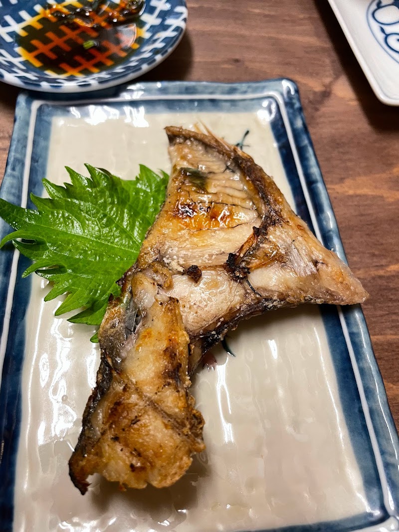 菜菜魚魚saisaitoto