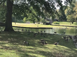 National Aviary - photo 41