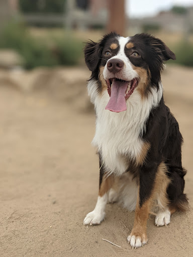 Dog Park «Grandview Dog Park», reviews and photos, 17500 E Quincy Ave, Aurora, CO 80015, USA