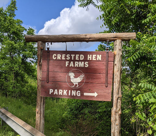 Tourist Attraction «Crested Hen Farms», reviews and photos, 607 Co Rd 6, High Falls, NY 12440, USA