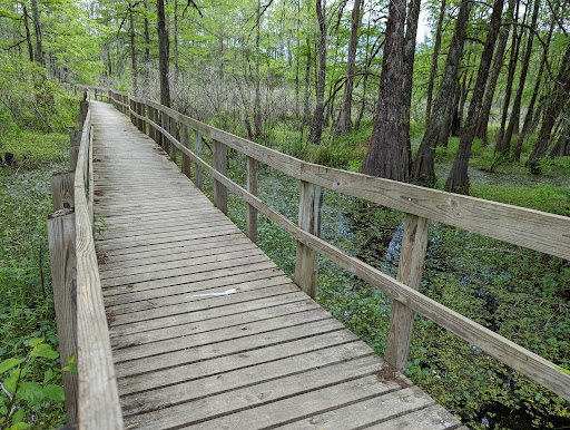 Lake Martin Loop Trail
