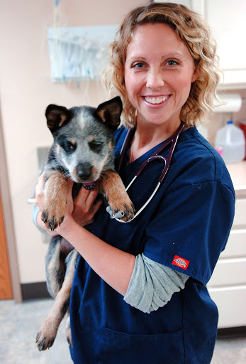 Bluffton Veterinary Hospital & Pet Care Center image