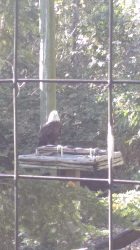 Pet Supply Store «PetSmart», reviews and photos, 2389 Taylor Park Dr, Reynoldsburg, OH 43068, USA