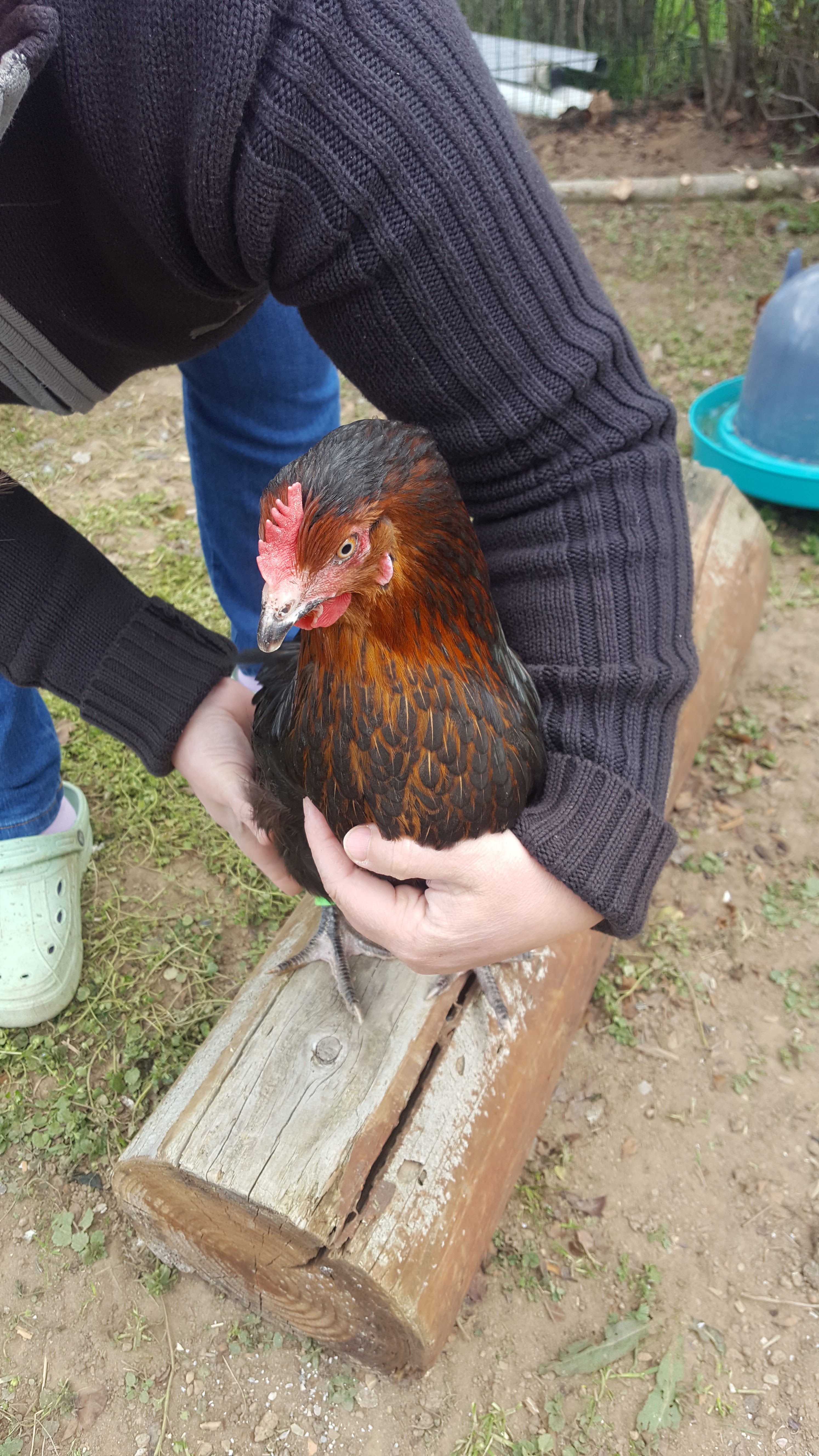 Photo n° 1 de l'avis de Karine.e fait le 12/04/2019 à 06:57