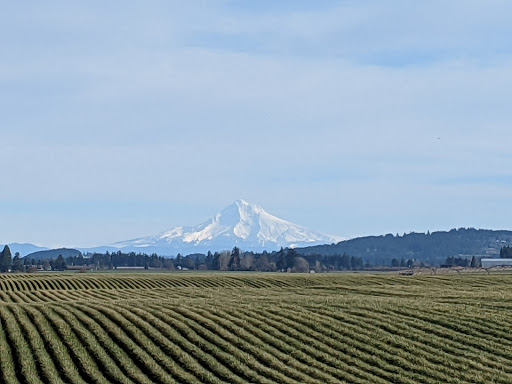 Golf Course «Forest Hills Golf Course», reviews and photos, 36260 SW Tongue Ln, Cornelius, OR 97113, USA