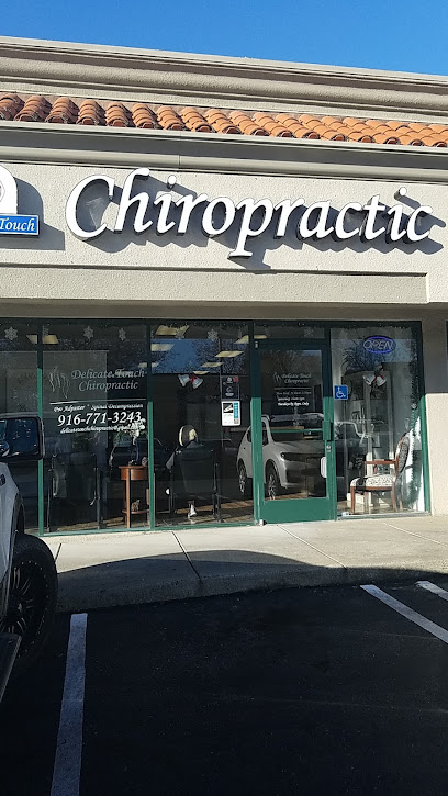 Delicate Touch chiropractic - Pet Food Store in Roseville California